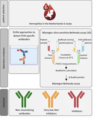 The spectrum of neutralizing and non-neutralizing anti-FVIII antibodies in a nationwide cohort of 788 persons with hemophilia A